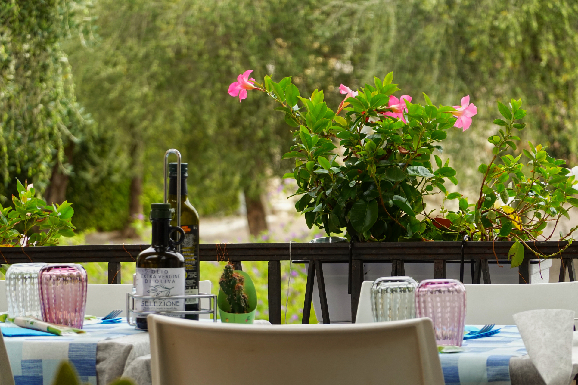 Outdoor table with tablecloth and pink flowers under the Adria pergola